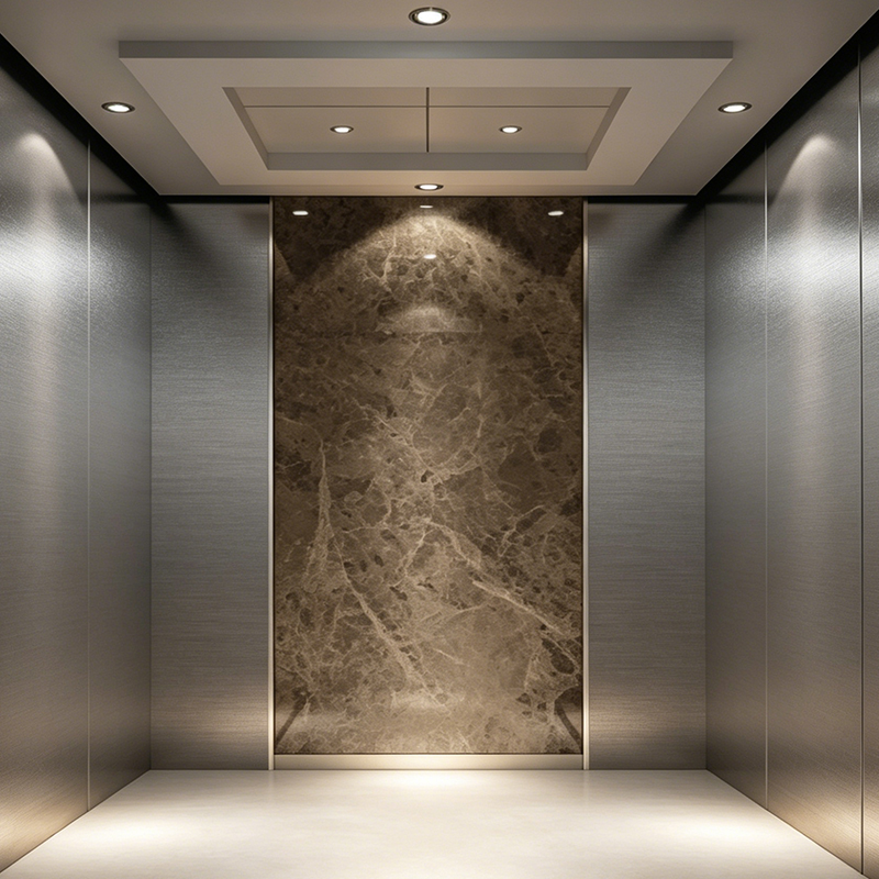 Brandwerende decoratieve muurpassagierslift voor woningen en hotels