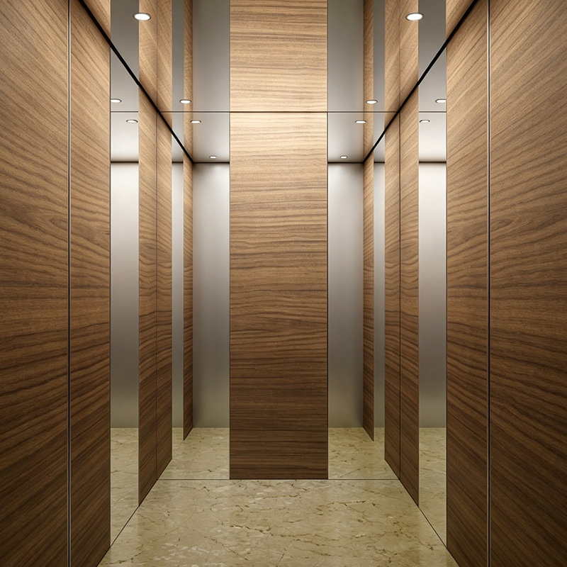 Moderne houten fineer cabine interieur Villa passagierslift